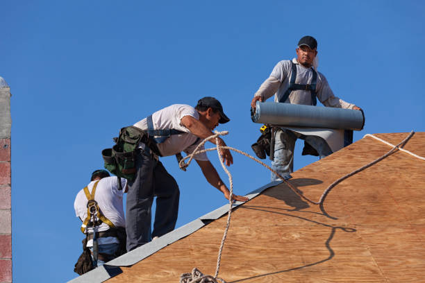 Best Roof Maintenance Services  in Ferndale, PA