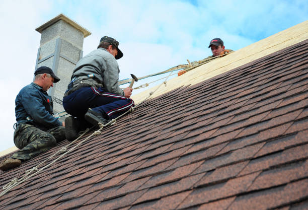 Best Roof Repair Estimates  in Ferndale, PA